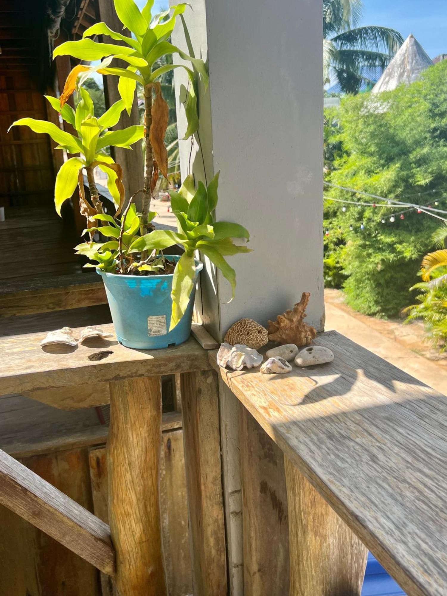 Ing Ing Guesthouse Koh Rong Sanloem Bagian luar foto
